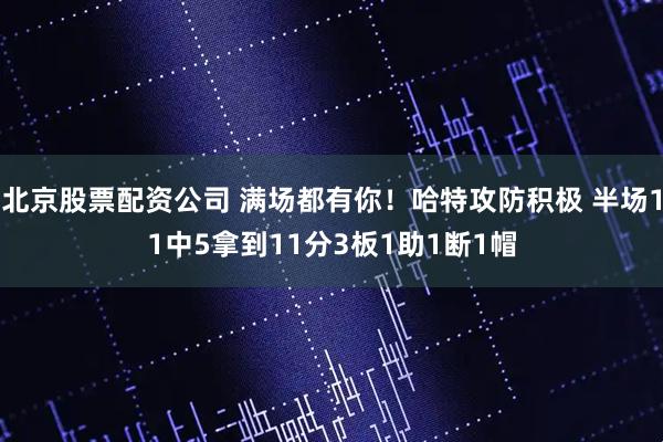 北京股票配资公司 满场都有你！哈特攻防积极 半场11中5拿到11分3板1助1断1帽